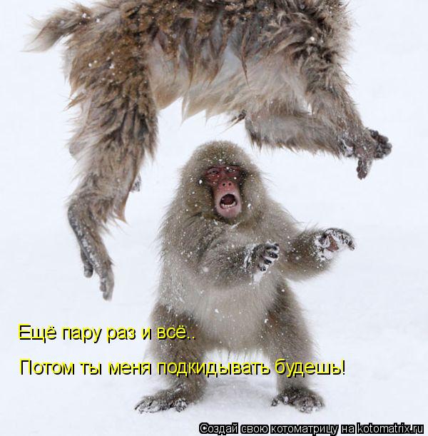 Котоматрица: Ещё пару раз и всё.. Потом ты меня подкидывать будешь!