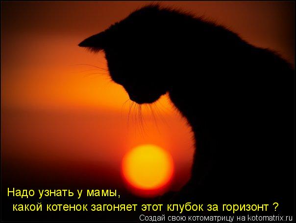 Надо узнать у мамы, какой котенок загоняет этот клубок за горизонт ?... Котоматрица: Надо узнать у мамы, какой котенок загоняет этот клубок за горизонт ?