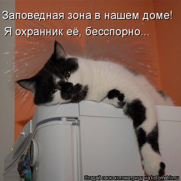 Котоматрица: Заповедная зона в нашем доме! Я охранник её, бесспорно...