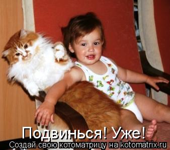 Котоматрица: Подвинься! Уже!