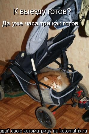 Котоматрица: К выезду готов?  Да уже часа три как готов...
