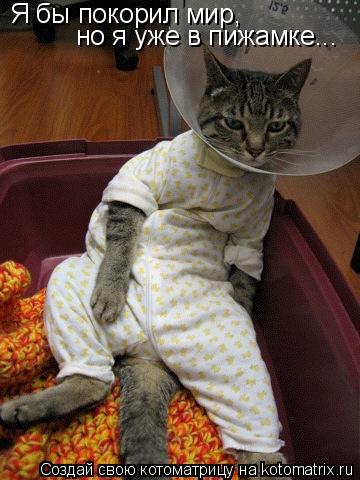 Котоматрица: Я бы покорил мир,  но я уже в пижамке...