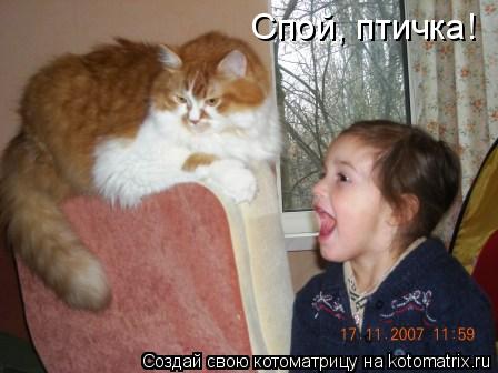 Котоматрица: Спой, птичка!