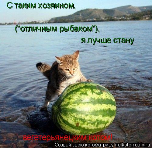 Котоматрица: С таким хозяином, ("отличным рыбаком"), я лучше стану вегетерьянецким котом!