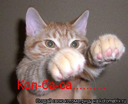 Котоматрица: Кол-ба-са..........