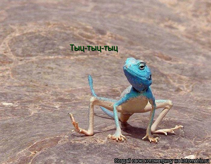 Котоматрица: Тыц-тыц-тыц