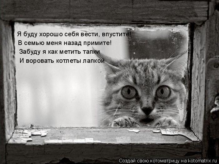 Котоматрица: Я буду хорошо себя вести, впустите! Забуду я как метить тапки И воровать котлеты лапкой В семью меня назад примите!