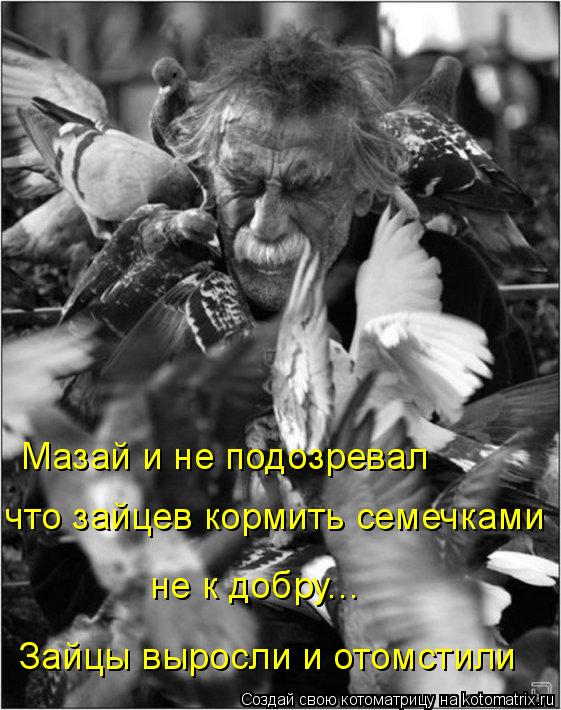 Котоматрица: Мазай и не подозревал что зайцев кормить семечками Зайцы выросли и отомстили не к добру...