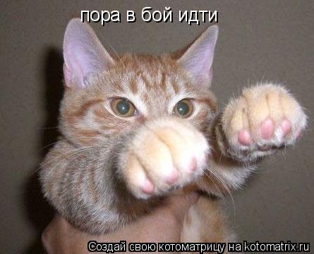 Котоматрица: пора в бой идти