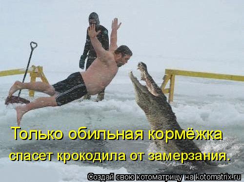 Только обильная кормёжка спасет крокодила от замерзания.... Котоматрица: Только обильная кормёжка спасет крокодила от замерзания.