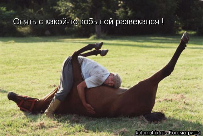 Котоматрица: Опять с какой-то кобылой развекался !