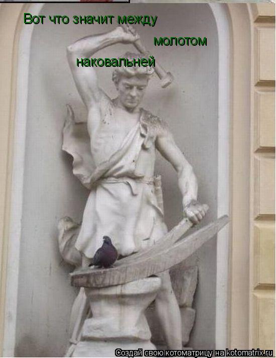Котоматрица: Вот что значит между молотом наковальней