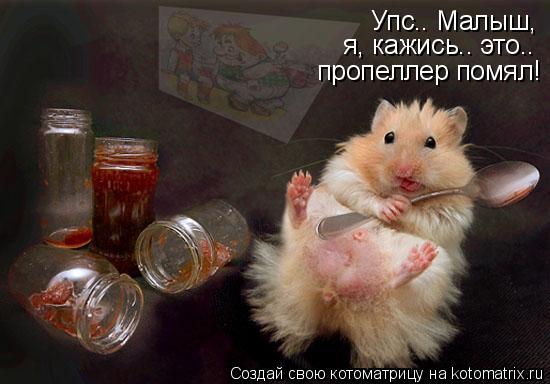 Котоматрица: Упс.. Малыш,  я, кажись.. это.. пропеллер помял!