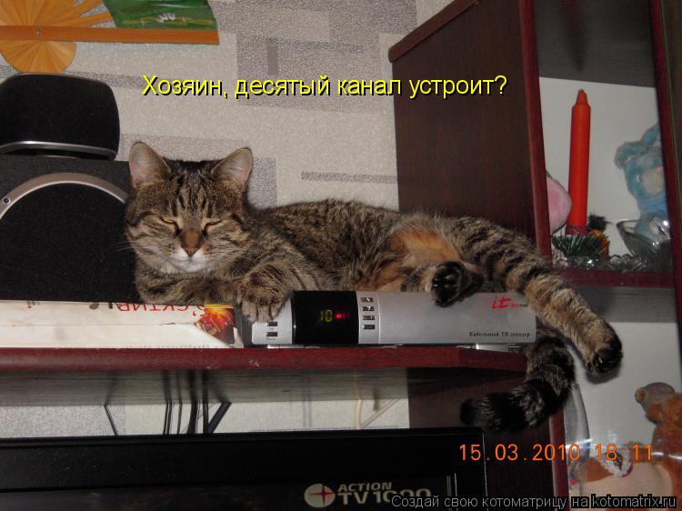 Котоматрица: Хозяин, десятый канал устроит?