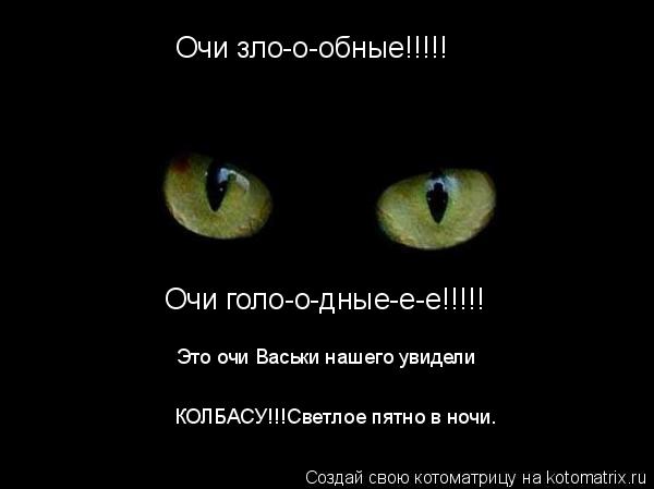 Котоматрица: Очи зло-о-обные!!!!! Очи голо-о-дные-е-е!!!!! Это очи Васьки нашего увидели КОЛБАСУ!!!Светлое пятно в ночи.