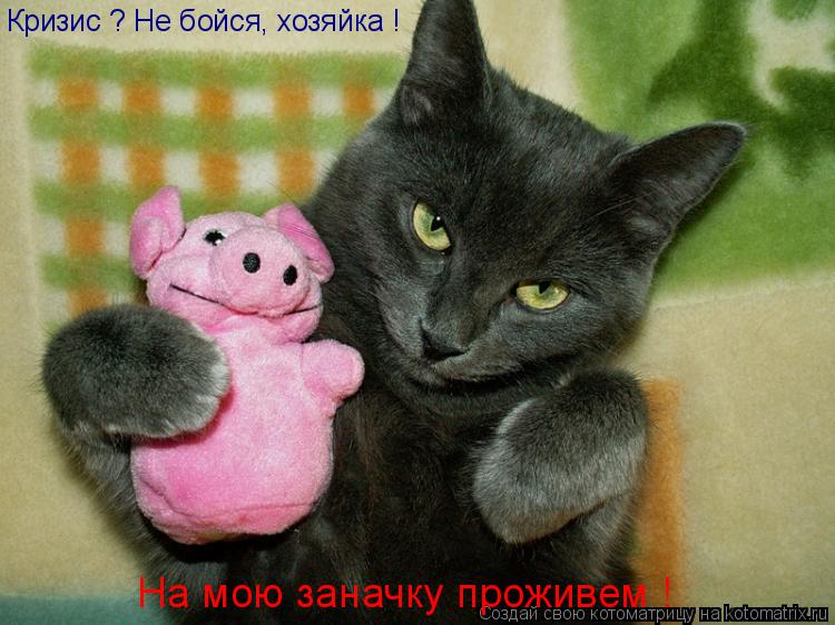 Кризис ? Не бойся, хозяйка ! На мою заначку проживем !... Котоматрица: Кризис ? Не бойся, хозяйка ! На мою заначку проживем !