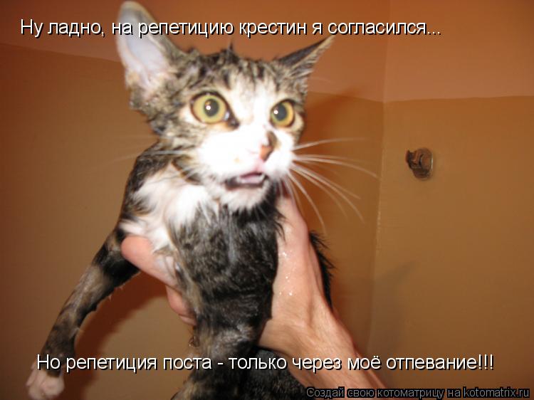 Ну ладно, на репетицию крестин я согласился... Но репетиция поста - только через моё отпевание!!!... Котоматрица: Ну ладно, на репетицию крестин я согласился... Но репетиция поста - только через моё отпевание!!!