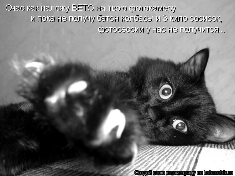 Счас как наложу ВЕТО на твою фотокамеру и пока не получу батон колбасы и 3 кило сосисок, фотосессии ... Котоматрица: Счас как наложу ВЕТО на твою фотокамеру и пока не получу батон колбасы и 3 кило сосисок, фотосессии у нас не получится...