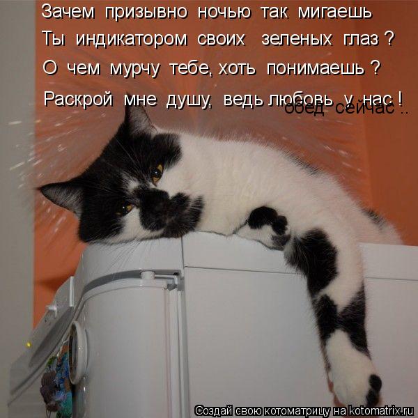 Котоматрица: Зачем  призывно  ночью  так  мигаешь  О  чем  мурчу  тебе, хоть  понимаешь ?  Ты  индикатором  своих   зеленых  глаз ?  Раскрой  мне  душу,  ведь любо