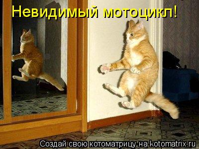 Невидимый мотоцикл!... Котоматрица: Невидимый мотоцикл!