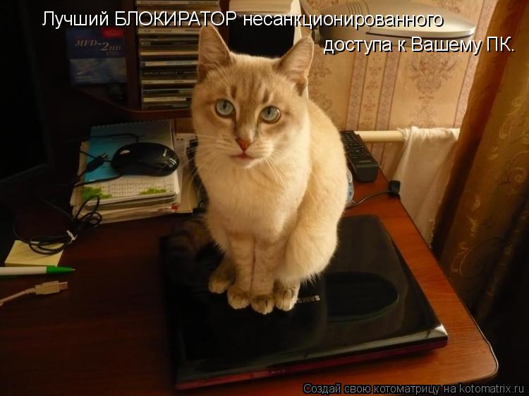 Лучший БЛОКИРАТОР несанкционированного доступа к Вашему ПК.... Котоматрица: Лучший БЛОКИРАТОР несанкционированного доступа к Вашему ПК.
