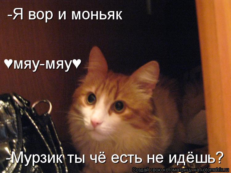 -Я вор и моньяк -Мурзик ты чё есть не идёшь? ♥мяу-мяу♥... Котоматрица: -Я вор и моньяк -Мурзик ты чё есть не идёшь? ♥мяу-мяу♥