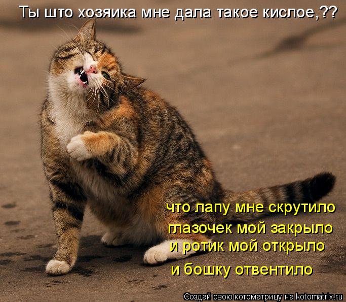 Ты што хозяика мне дала такое кислое,?? что лапу мне скрутило глазочек мой закрыло и бошку отвентило... Котоматрица: Ты што хозяика мне дала такое кислое,?? что лапу мне скрутило глазочек мой закрыло и бошку отвентило и ротик мой открыло