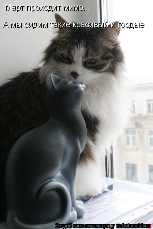 Котоматрица: Март проходит мимо... А мы сидим такие красивый и гордые!