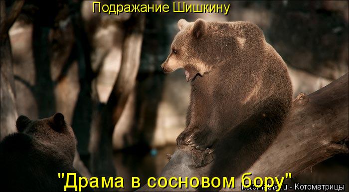 Подражание Шишкину "Драма в сосновом бору"... Котоматрица: Подражание Шишкину "Драма в сосновом бору"
