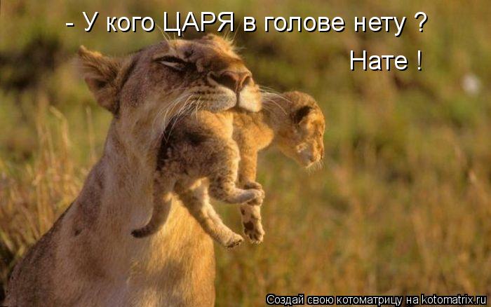 - У кого ЦАРЯ в голове нету ? Нате !... Котоматрица: - У кого ЦАРЯ в голове нету ? Нате !