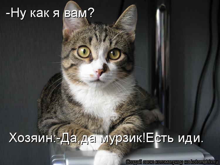 -Ну как я вам? Хозяин:-Да,да мурзик!Есть иди.... Котоматрица: -Ну как я вам? Хозяин:-Да,да мурзик!Есть иди.