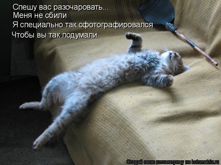 Спешу вас разочаровать... Меня не сбили Я специально так сфотографировался Чтобы вы так подумали.... Котоматрица: Спешу вас разочаровать... Меня не сбили Я специально так сфотографировался Чтобы вы так подумали.