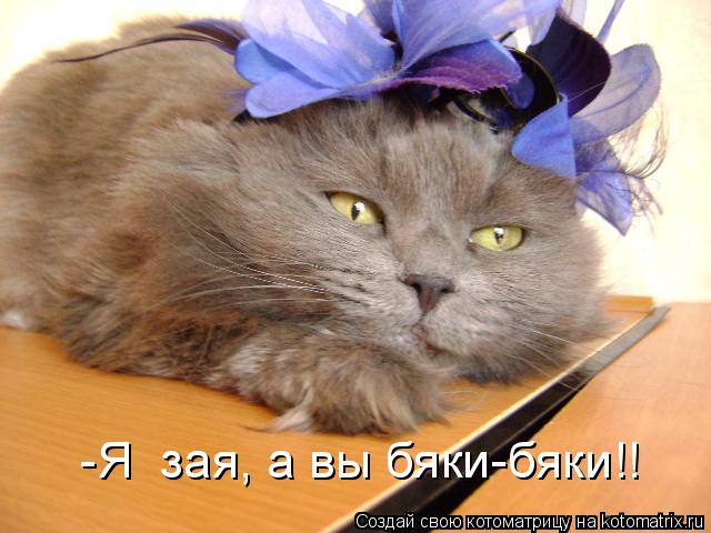 Котоматрица: -Я  зая, а вы бяки-бяки!!