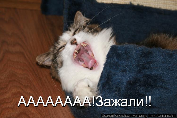 Котоматрица: АААААААА!Зажали!!