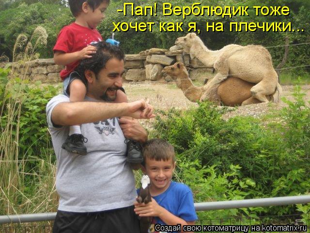 Котоматрица: -Пап! Верблюдик тоже  хочет как я, на плечики...
