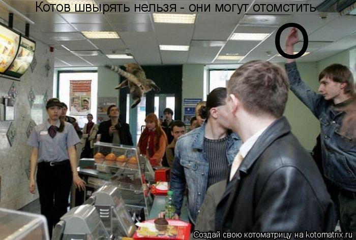 Котоматрица: Котов швырять нельзя - они могут отомстить О