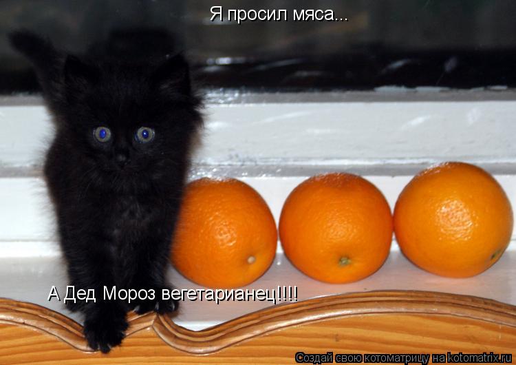 Котоматрица: Я просил мяса... А Дед Мороз вегетарианец!!!!