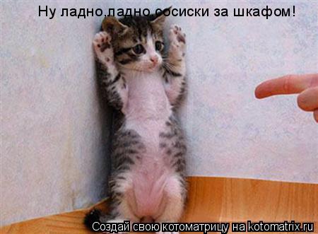 Котоматрица: Ну ладно,ладно,сосиски за шкафом!