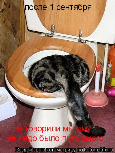 Котоматрица: после 1 сентября не надо было пить много ну говорили мы ему