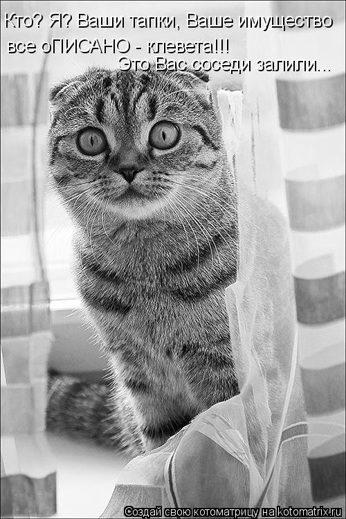 Котоматрица: Кто? Я? Ваши тапки, Ваше имущество все оПИСАНО - клевета!!! Это Вас соседи залили...
