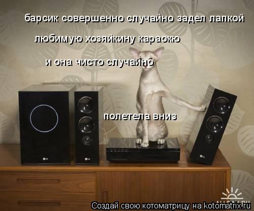 Котоматрица: барсик совершенно случайно задел лапкой любимую хозяйкину караокю и она чисто случайно полетела вниз