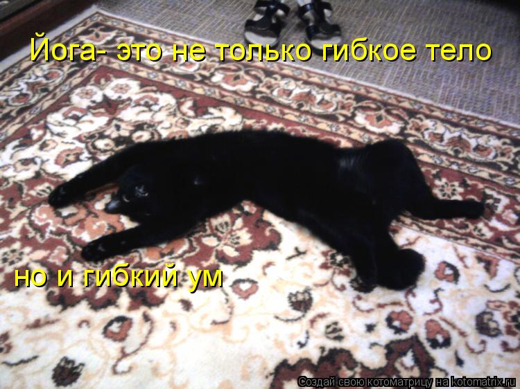 Котоматрица: Йога- это не только гибкое тело но и гибкий ум