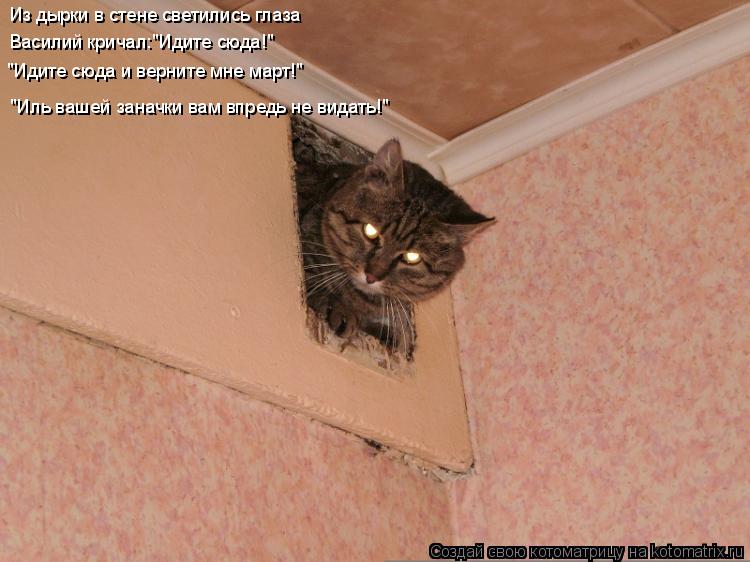 Котоматрица: Из дырки в стене светились глаза Василий кричал:"Идите сюда!" "Идите сюда и верните мне март!" "Иль вашей заначки вам впредь не видать!"