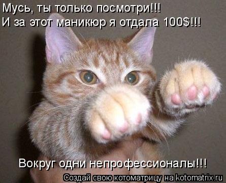 Котоматрица: Мусь, ты только посмотри!!! И за этот маникюр я отдала 100$!!! Вокруг одни непрофессионалы!!!