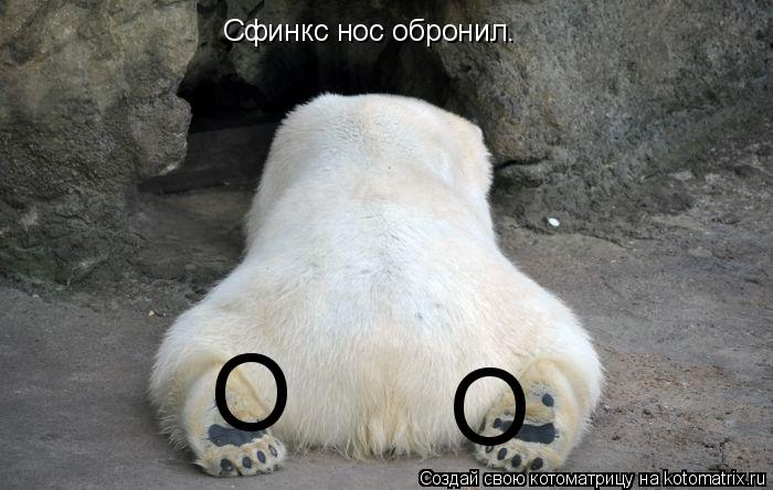 Котоматрица: О О Сфинкс нос обронил.