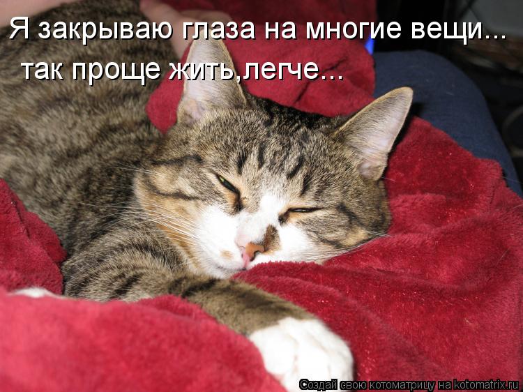 Котоматрица: Я закрываю глаза на многие вещи...  так проще жить,легче...