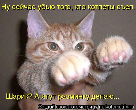 Котоматрица: Ну сейчас убью того, кто котлеты съел. Шарик? А ятут разминку делаю...