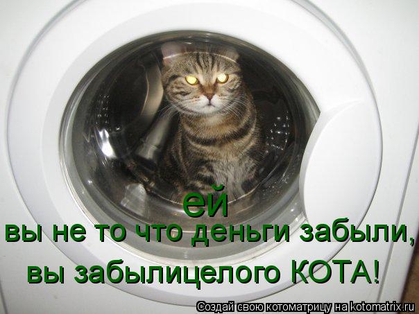 Котоматрица: ей вы не то что деньги забыли, вы забылицелого КОТА!