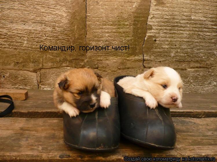 Котоматрица: Командир, горизонт чист!