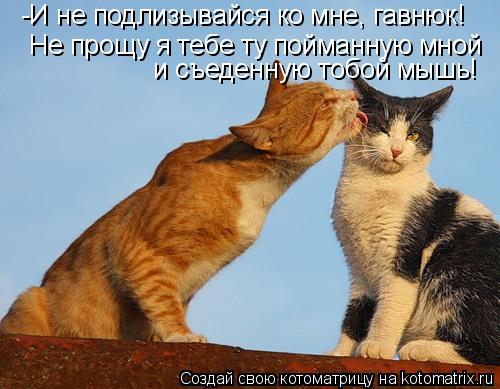 -И не подлизывайся ко мне, гавнюк! Не прощу я тебе ту пойманную мной и съеденную тобой мышь!... Котоматрица: -И не подлизывайся ко мне, гавнюк! Не прощу я тебе ту пойманную мной и съеденную тобой мышь!